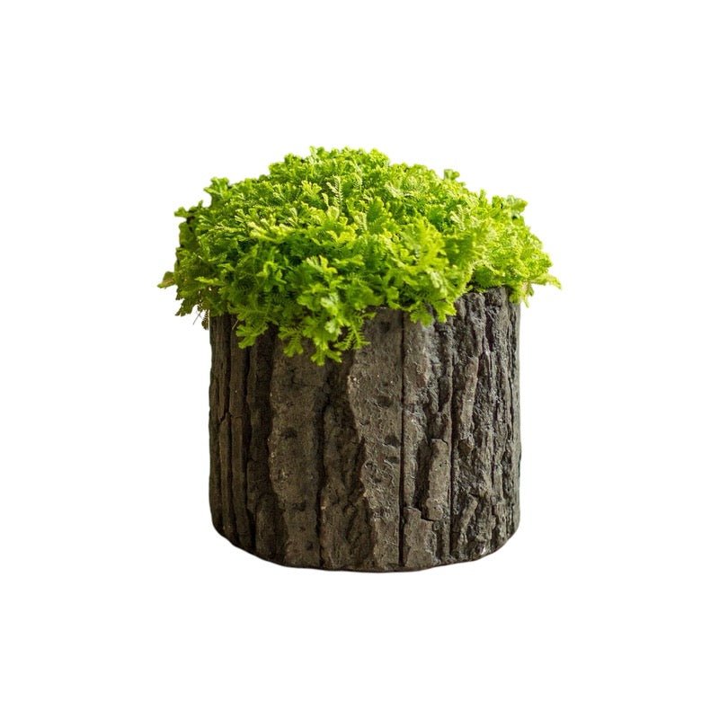 Bark Motif Planter - Foundation Goods