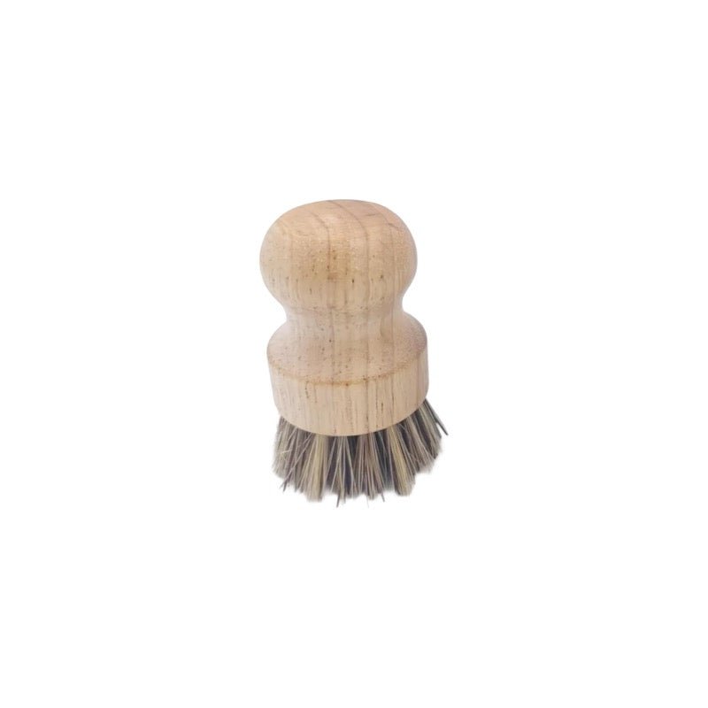 Coconut Palm Bristle Dish Brush - Foundation Goods