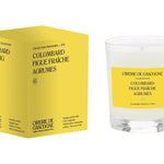 Colombard, Fresh Fig, Citrus Blend Candle - Foundation Goods