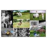 Equestrian Life in the Hamptons by Blue Carreon - Foundation Goods